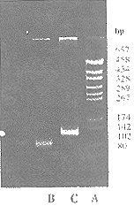 76-2.gif (9472 字节)