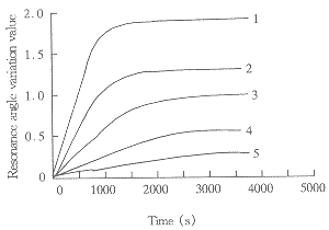 78-1.gif (3377 字节)