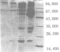 108-1.gif (6438 �ֽ�)