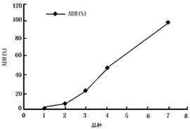 t58-2.gif (2182 bytes)