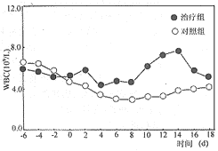 t196-1.gif (3554 bytes)