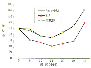 t19904.gif (6016 �ֽ�)