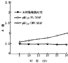 40-1.gif (11110 bytes)