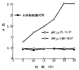 40-2.gif (9134 bytes)