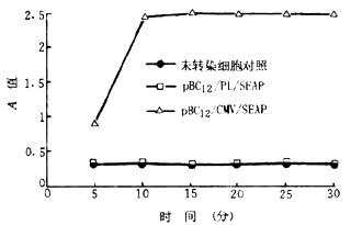 40-3.gif (9146 bytes)