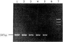 946-t2.gif (8445 bytes)