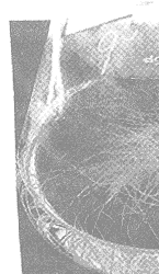 83-1.gif (14864 �ֽ�)