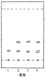 t746-1.gif (2217 bytes)