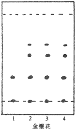 t746-2.gif (2405 bytes)