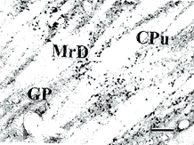 t194-2.gif (8262 bytes)