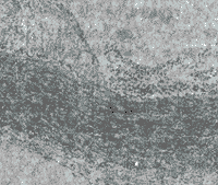 895-1.gif (9883 �ֽ�)