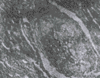 895-60.gif (7808 �ֽ�)