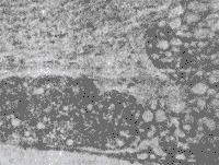 895-61.gif (7676 �ֽ�)