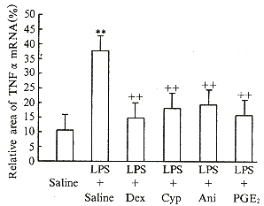 903-1.gif (4774 �ֽ�)