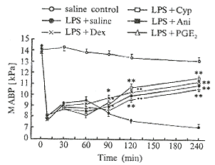 904-1.gif (5930 �ֽ�)