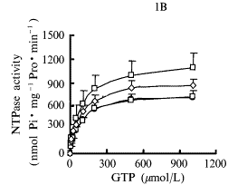 0101b.gif (3741 bytes)