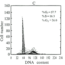 658-02c.gif (3855 bytes)