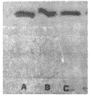 575-3.gif (4196 bytes)