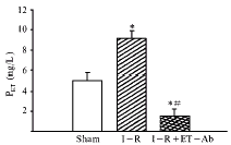 416.gif (2363 bytes)