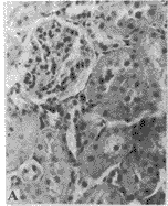 416-2.gif (7471 bytes)