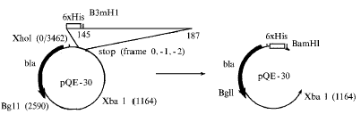 386-2.gif (3335 bytes)