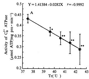 30.gif (5247 bytes)