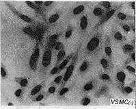 35.gif (10789 bytes)