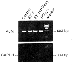01.gif (12882 bytes)