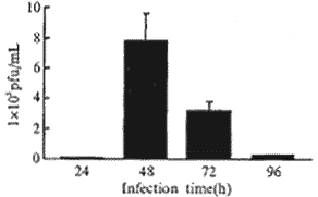 22-1.gif (3099 bytes)