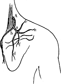 t27-1.gif (3998 bytes)