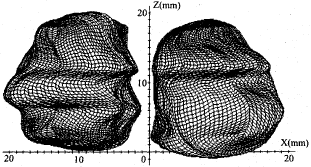 t40-2.gif (13690 bytes)