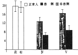 67-2.gif (15496 bytes)