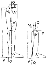 19-2.gif (6539 bytes)