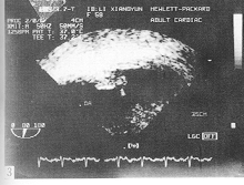 287-t-3.gif (38881 �ֽ�)