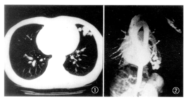 01.gif (63271 bytes)