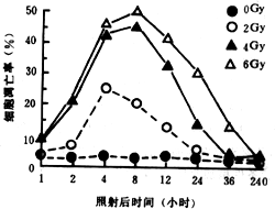 11.gif (18422 bytes)