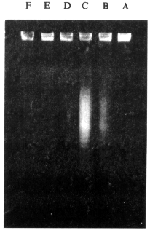 24.gif (43652 bytes)