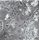 t37-2.gif (8005 bytes)