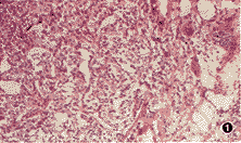 3301.gif (9368 bytes)