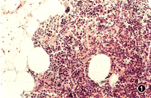 3401.gif (13346 bytes)