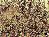 4301.gif (15144 bytes)