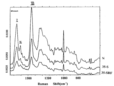 t43-1.gif (8392 bytes)