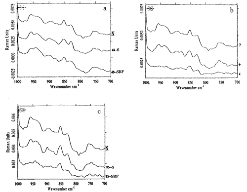 t44-1.gif (10642 bytes)