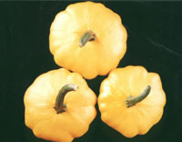 ˮ�����챣��Ʒ��ʱ��//