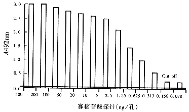 568-1.gif (6497 �ֽ�)