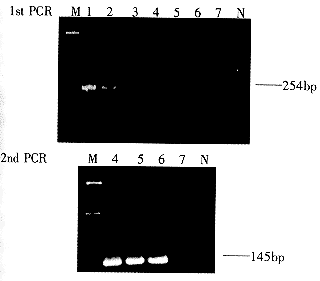 569-1.gif (3410 �ֽ�)