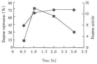 72-3.gif (3904 �ֽ�)