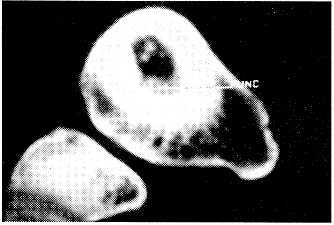 368-1.gif (27087 bytes)