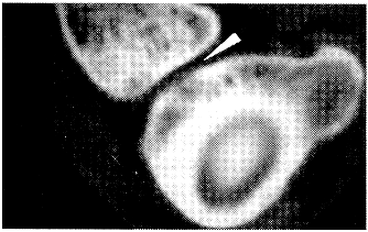 368-2.gif (42548 bytes)