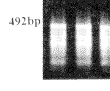t791-2-3.gif (1756 bytes)